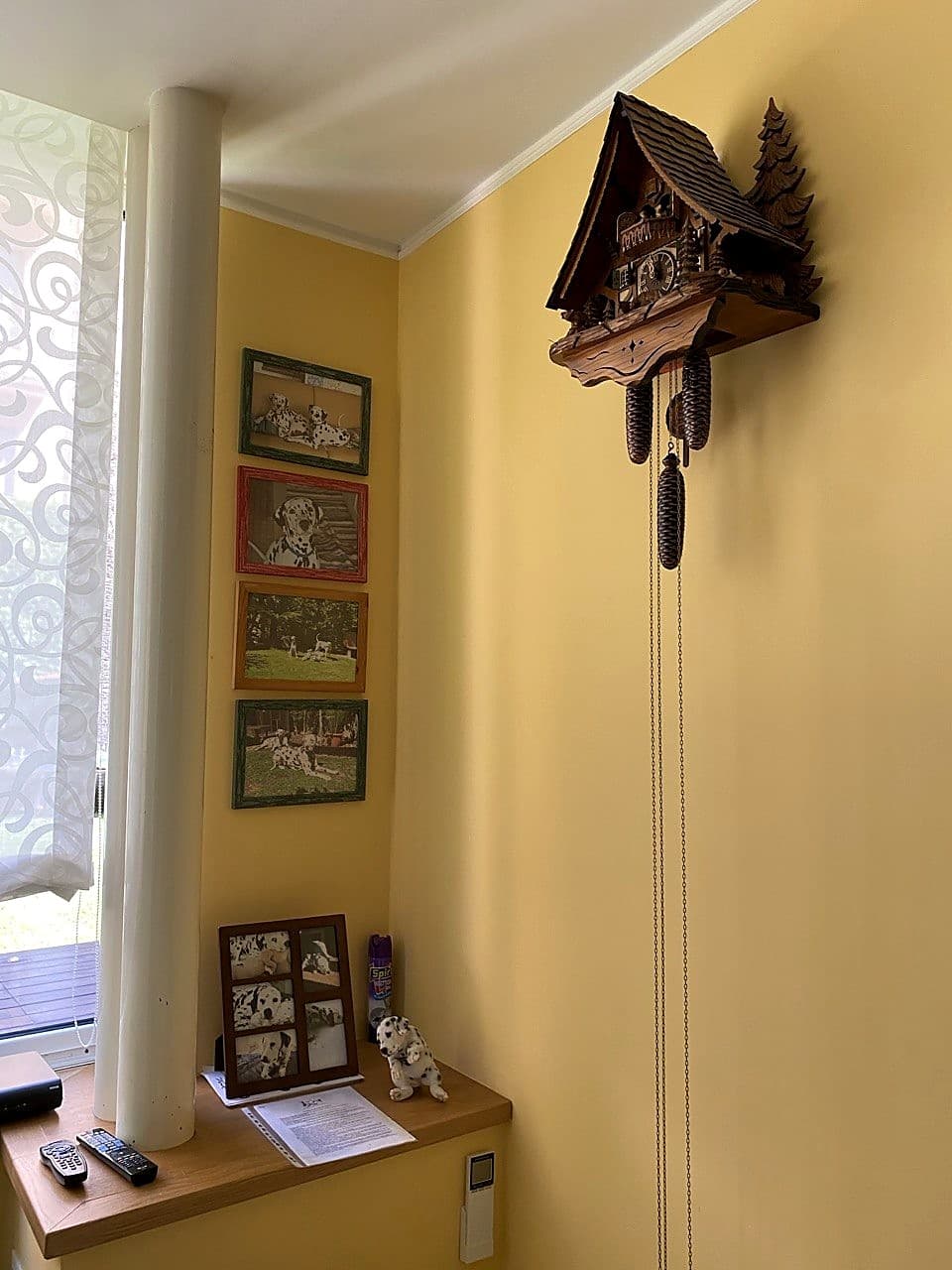 L'orologio appeso nella sala principale, accanto ai ritratti dei dalmatini