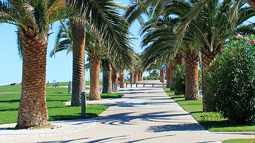 Lungomare di San Benedetto del Tronto · Riviera delle Palme